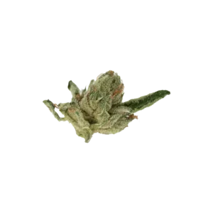 Produkte - Tilray THC15 Spotlight Porto 