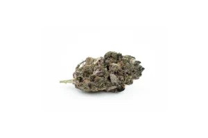 Produkte - 420 Natural 19/1 CA TRP