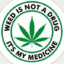 cannabis ist medezin