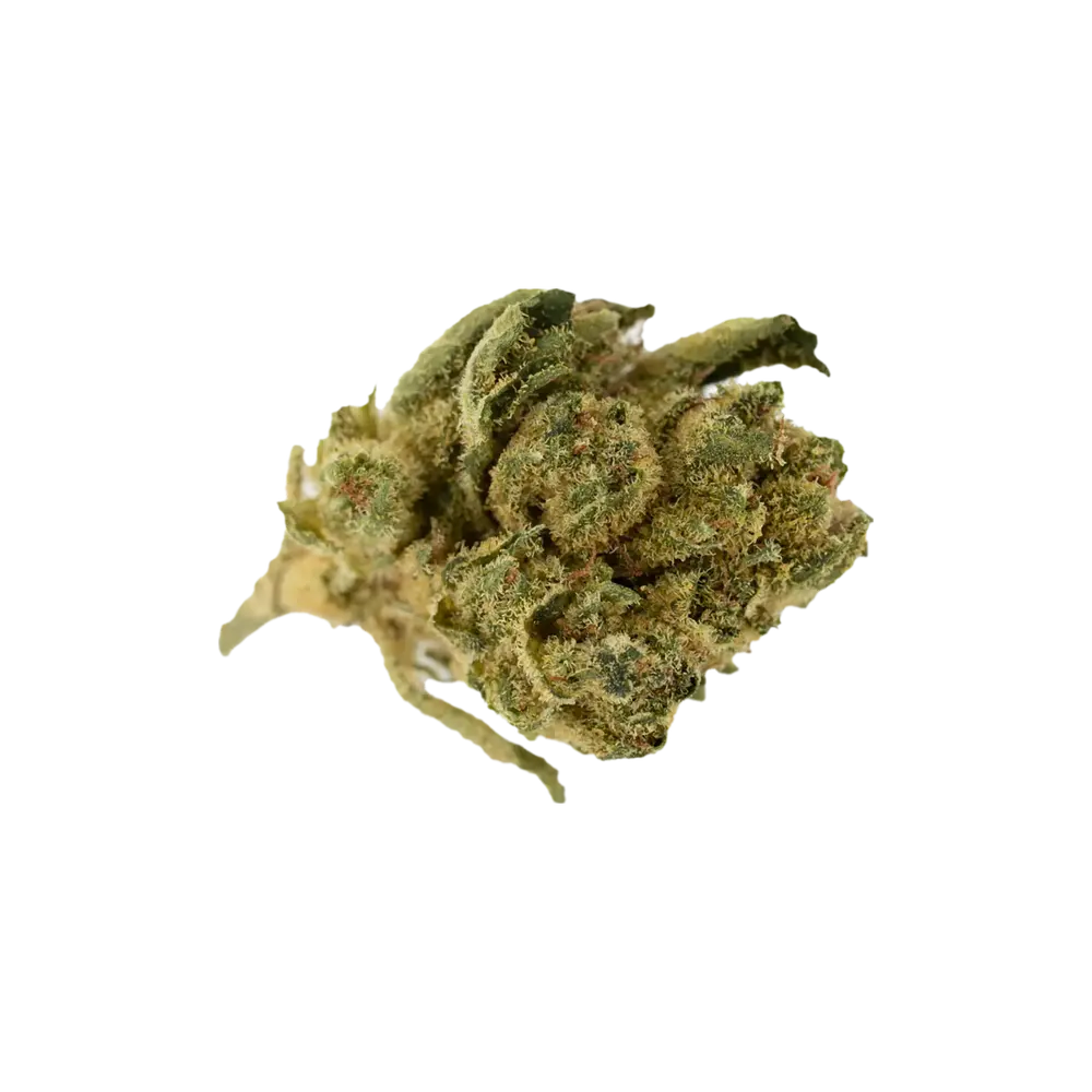 Produkte - Cannabis Flos 18/1 UY Ku. Gorilla Glue