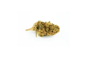 Produkte - Cannabis flos 18/1 UY Ku. Big Buddah