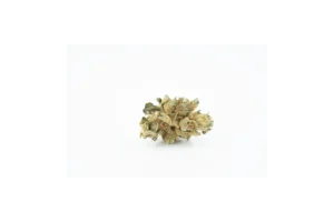 Produkte - Tilray THC25 Spotlight Porto