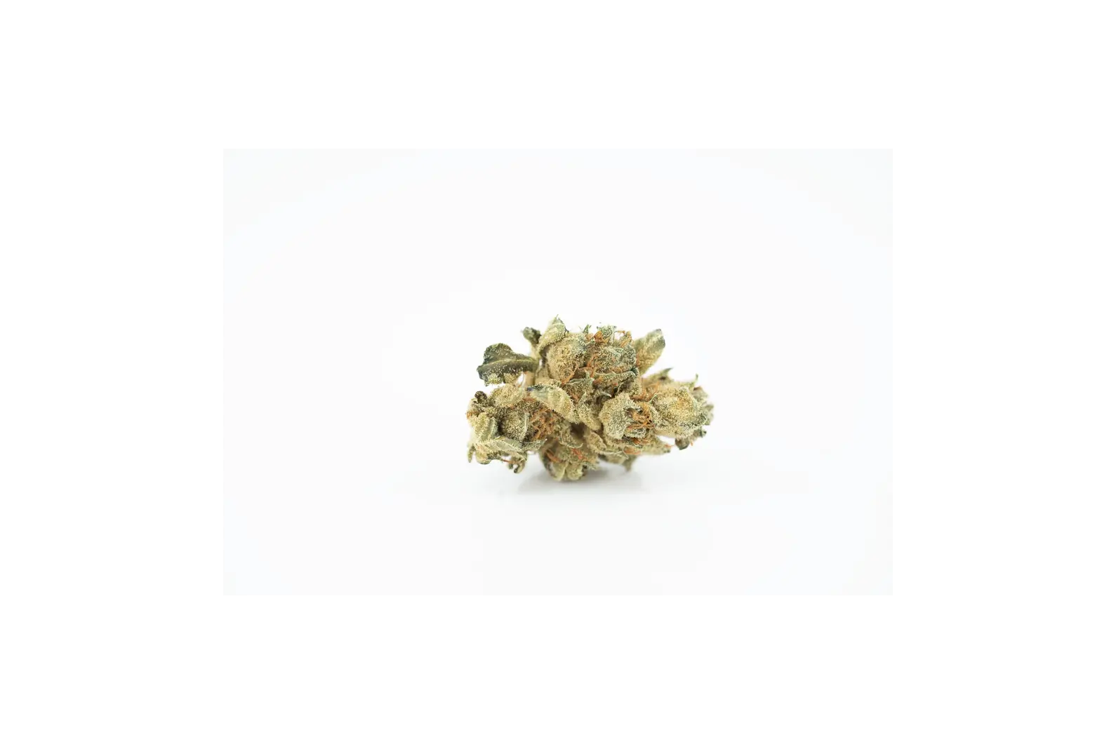Produkte - Tilray THC25 Spotlight Porto