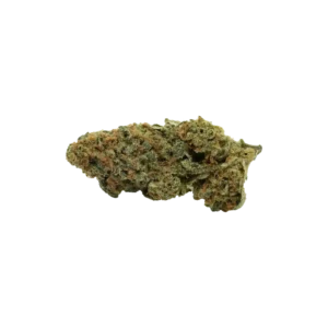 Produkte - Khiron SLH 24/1