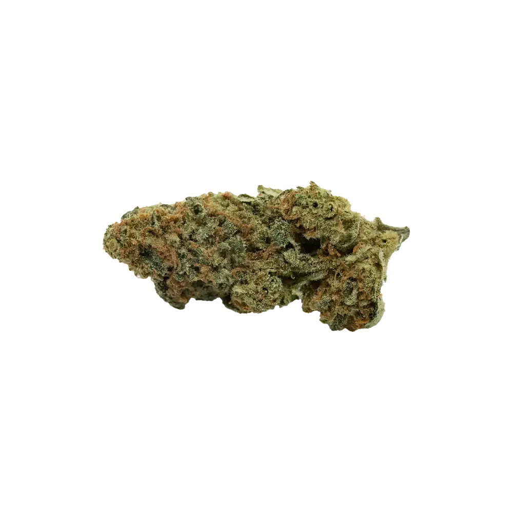 Produkte - Khiron SLH 24/1