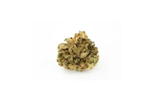 Produkte - Cannabis Flos 22/1 PT Ku. Headband
