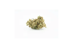Produkte - Tilray THC25 Spotlight Porto