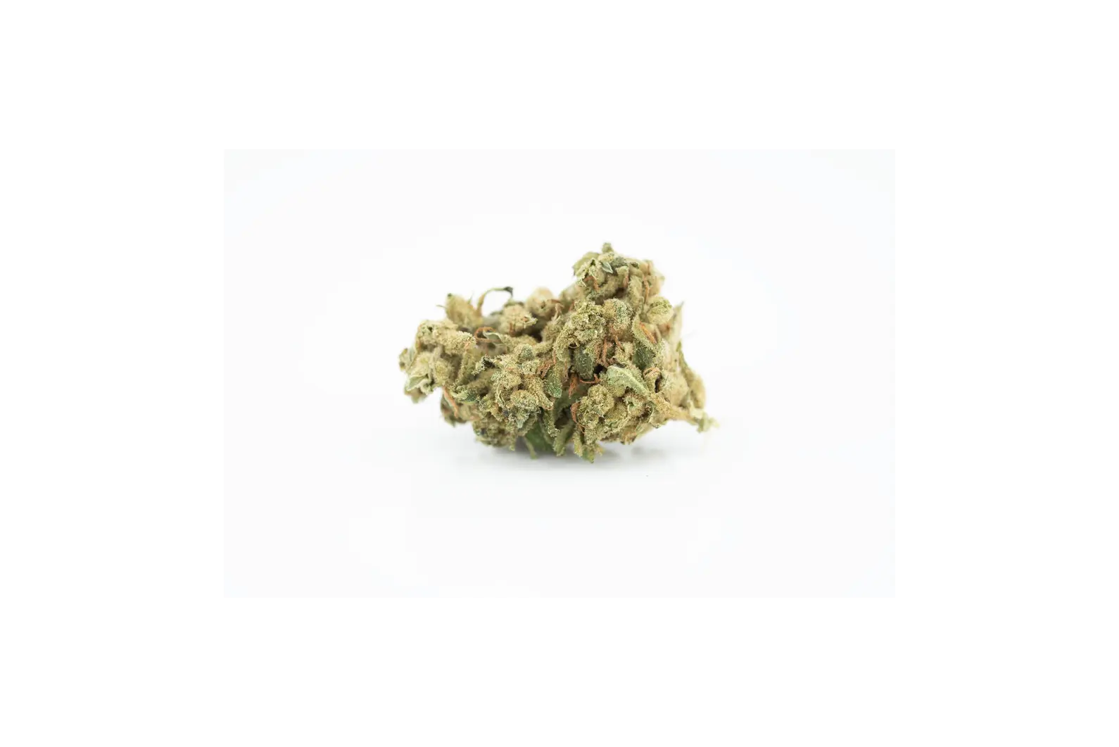 Produkte - Tilray THC25 Spotlight Porto