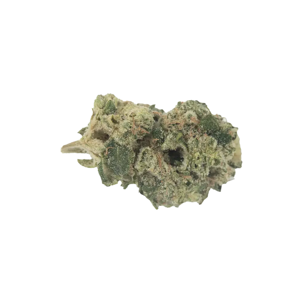 Produkte - Indimed 20/1 ISS-DE