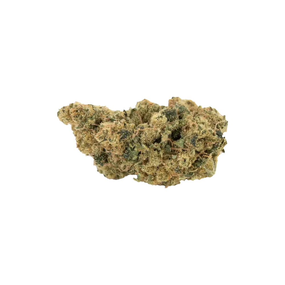 Produkte - enua 25/1 SC CA
