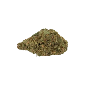 Produkte - Blackbird Plain Sativa