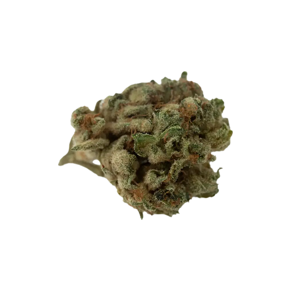 Produkte - Good Supply THC22 SNL