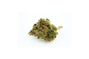 Produkte - 420 Natural 22/1 CA ZRP