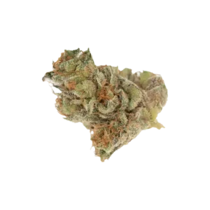 Produkte - enua 22/1 BDO CA