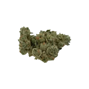 Produkte - DEMECAN CRAFT D-Jungle 31:01