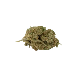 Produkte - AVAAY 12/8 CAN