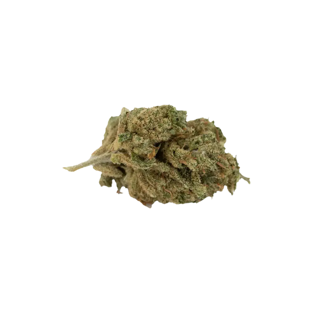 Produkte - AVAAY 12/8 CAN