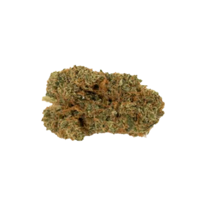 Produkte - Pedanios 10/10 EQI-CA