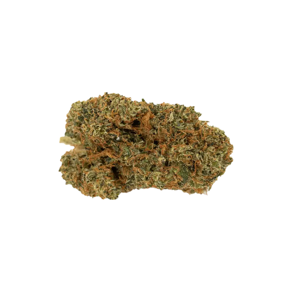 Produkte - Pedanios 10/10 EQI-CA