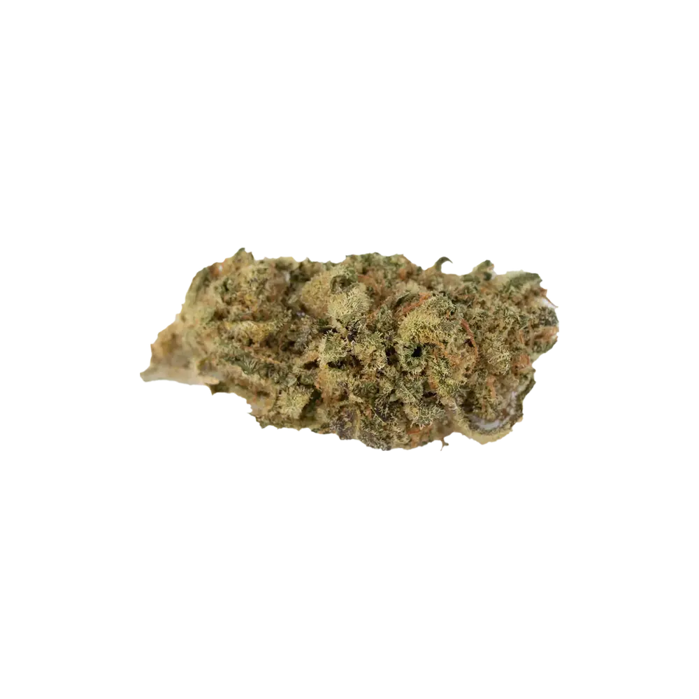 Produkte - Pedanios 25/1 FLH-CA
