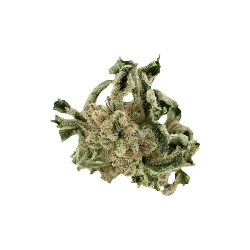 Produkte - Tilray THC15 Spotlight Porto
