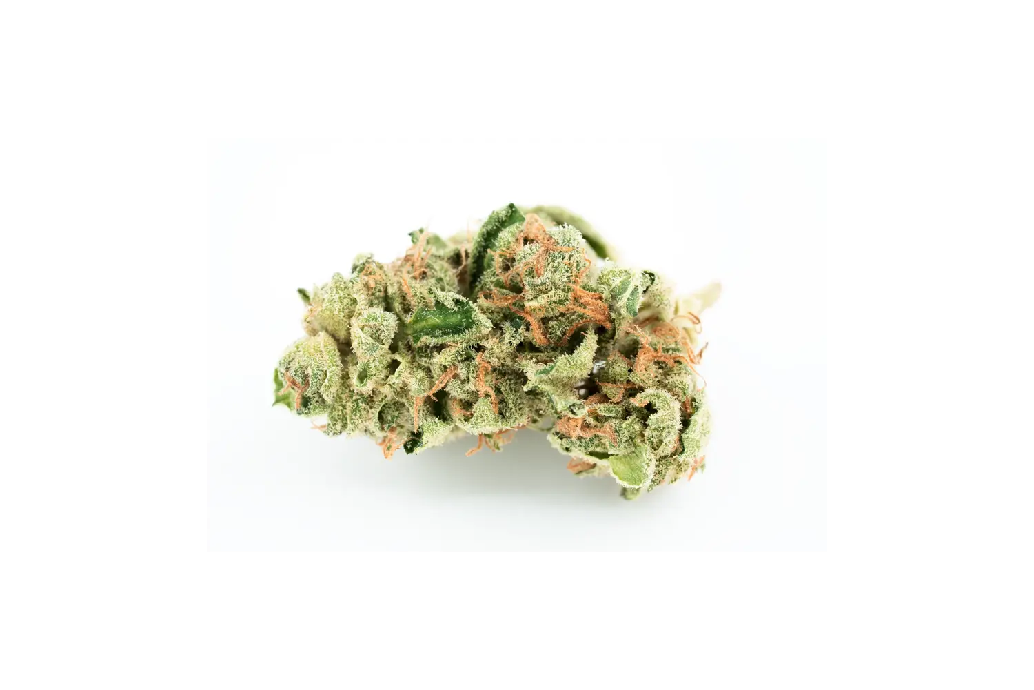 Produkte - Tilray THC22 Spotlight Porto