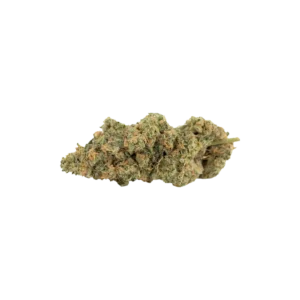 Produkte - 420 Evolution 27/1 CA FLM 