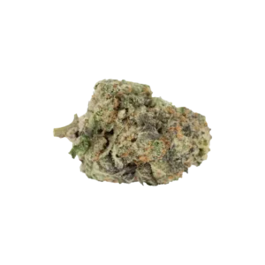 Produkte - Mother 26 GF CAN Garlic Funk