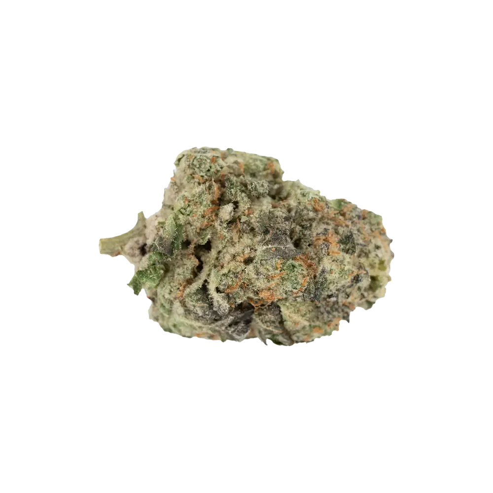 Produkte - Bathera 23/1