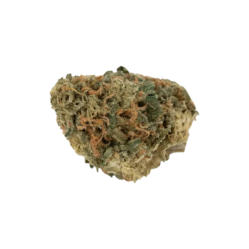 Produkte - Sumo Canada Craft No.4