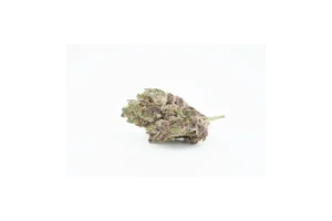Produkte - 420 Natural 17/1 CA TRP