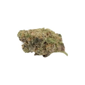 Produkte - enua 22/1 JLSY CA