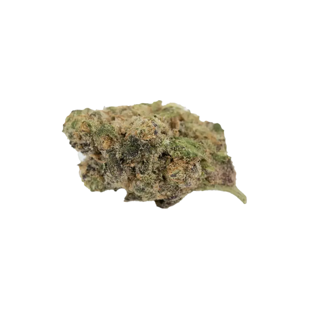 Produkte - IMC HW THC18 Token Hollywood