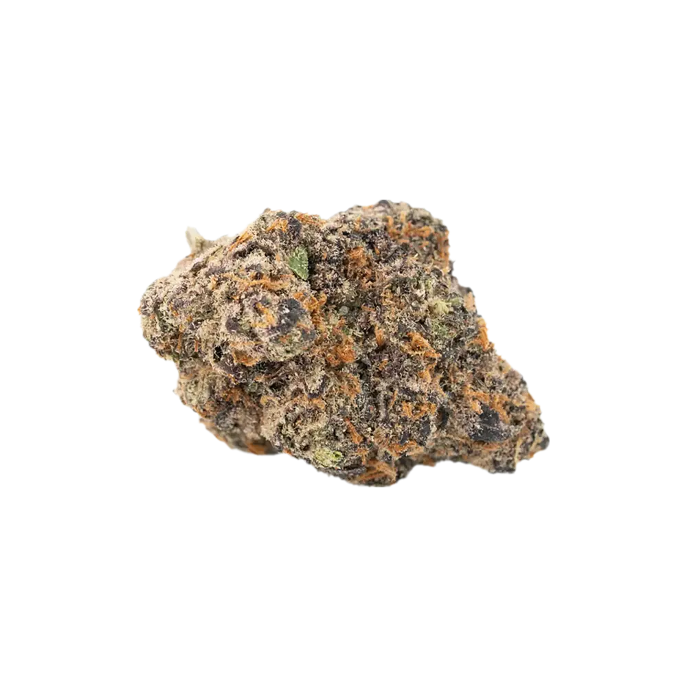 Produkte - CNBS GELO 20/1