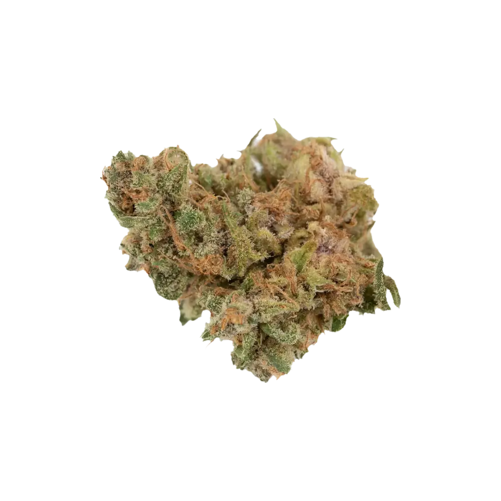 Produkte - Balancial 22/1
