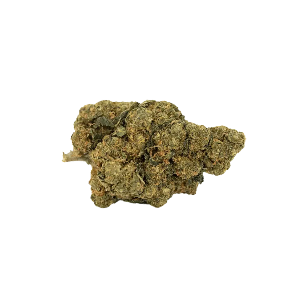 Produkte - Costa Canna Dynamics - forte