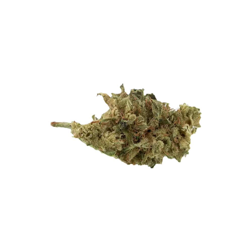 Produkte - Cannabis Flos 22/1 PT Ku.ISS DAB Canify