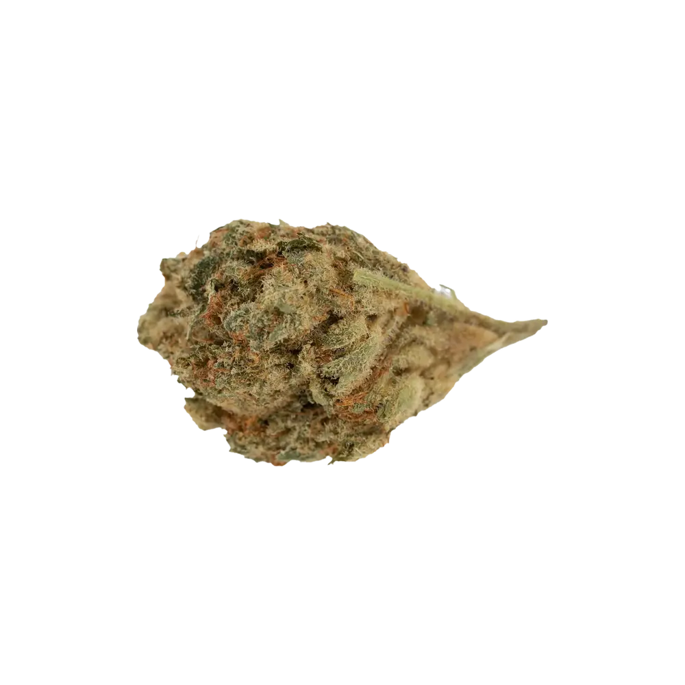 Produkte - Cannabis Flos 18/1 PT Ku. Mango