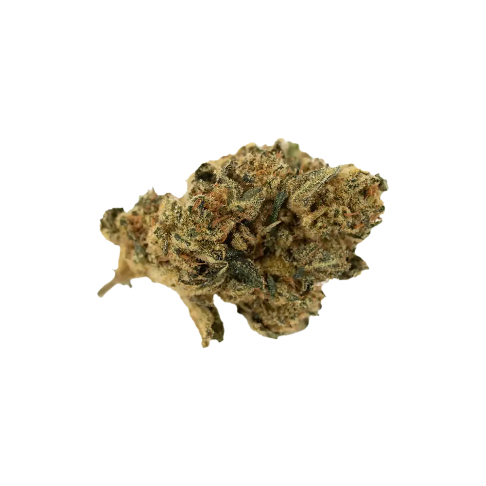 Produkte - CannabiStada 25/1 GG
