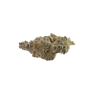 Produkte - avaay Signature 23/1 MC 
