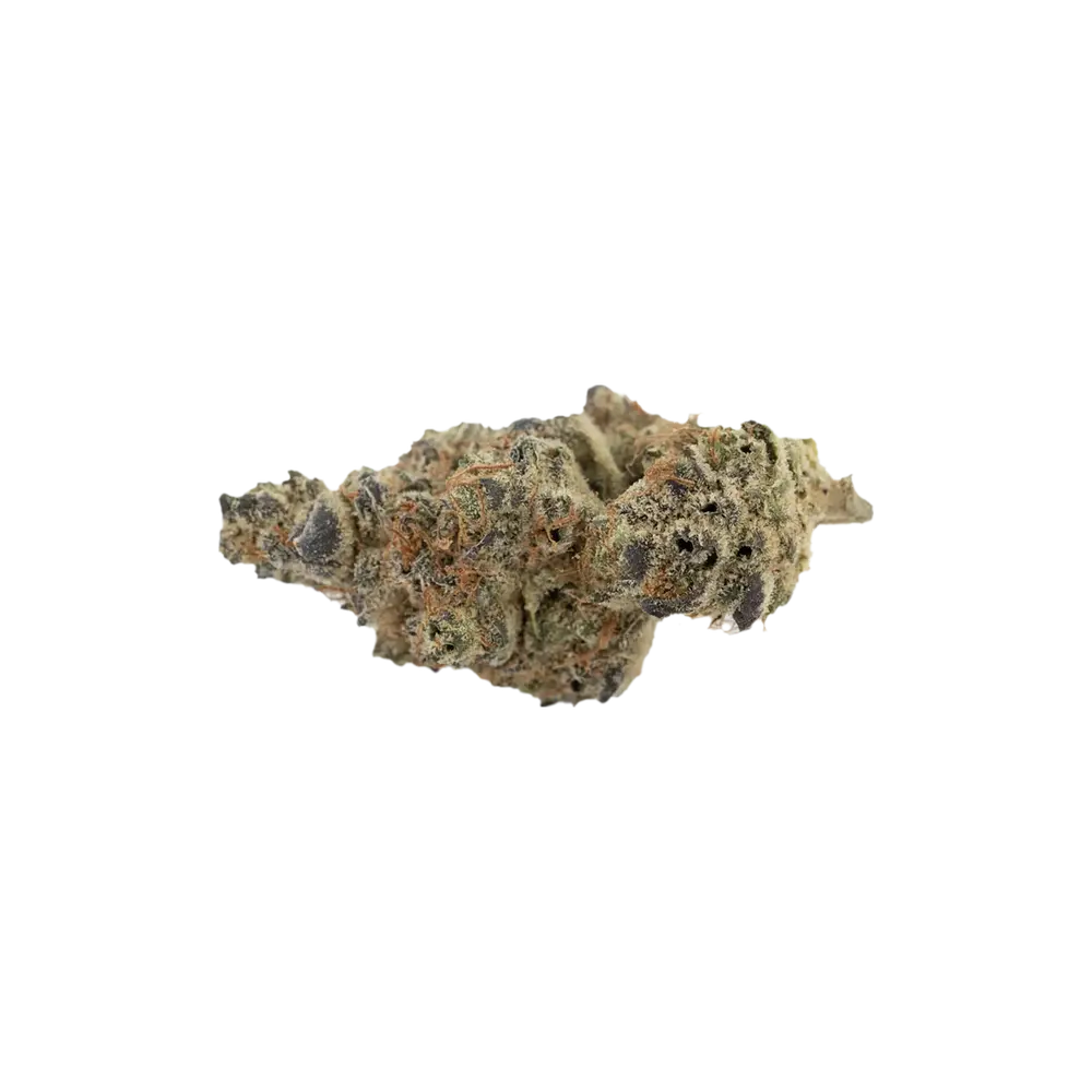 Produkte - avaay Signature 23/1 MC 