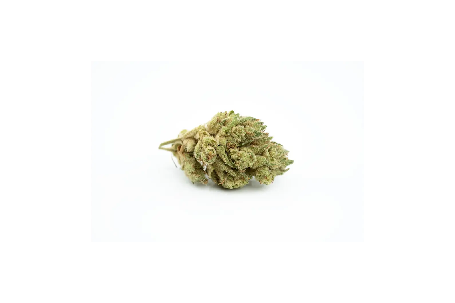 Produkte - CannabiStada 19/1
