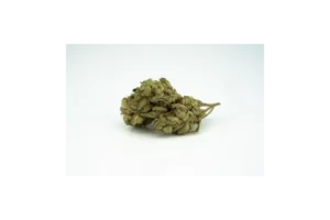 Produkte - Apocan Natural GG 22/1