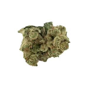 Produkte - CM 20/1 LLY