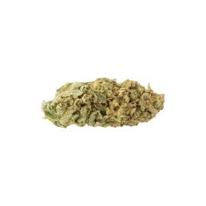 Produkte - Cannamedical Sativa forte NM