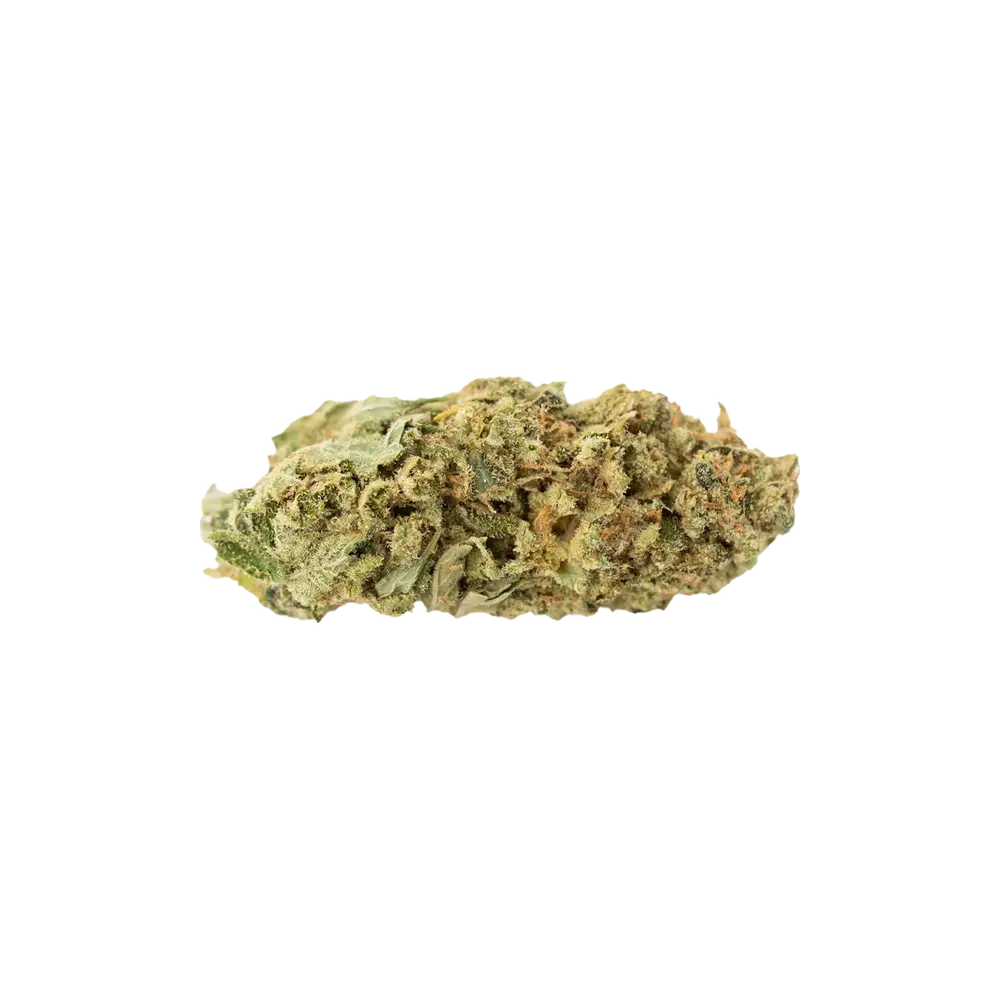 Produkte - Cannamedical Sativa forte NM