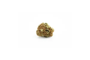 Produkte - Cannamedical Sativa light