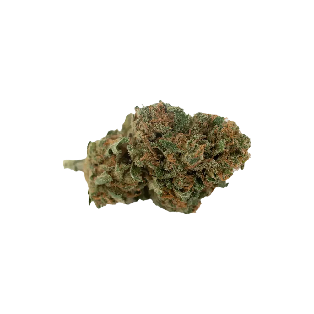 Produkte - Cannabis 1A 18/1