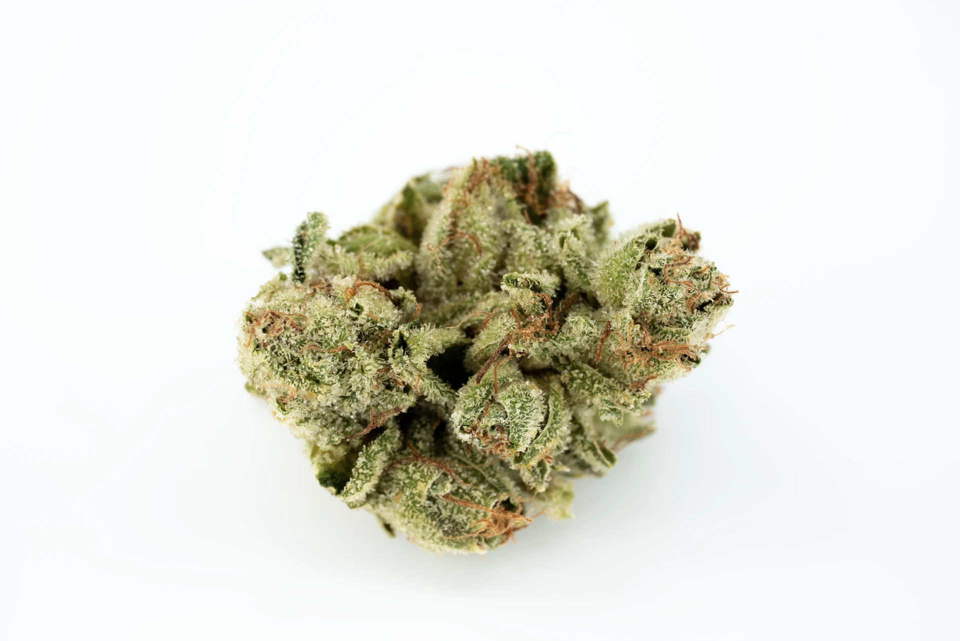 420-evo-25-1-bul-cannabisblueten-greensby