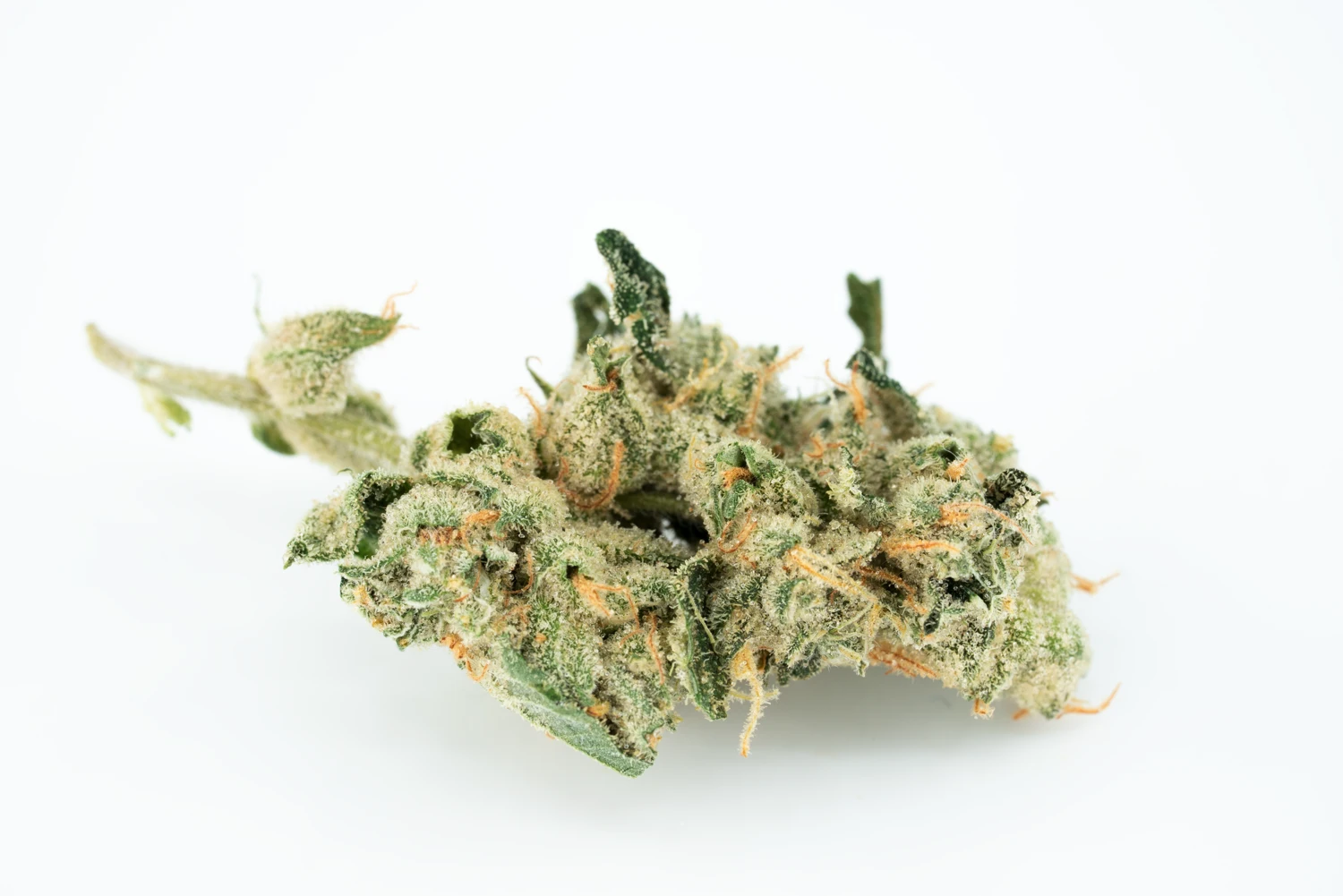 420-evolution-30-1-gmo-cannabisblueten-cannabis-apotheke